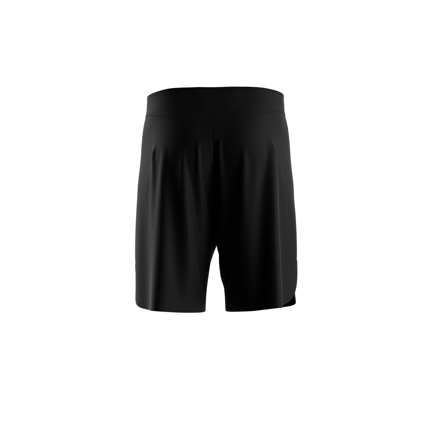 DFC The Dutch Lion Fightshorts