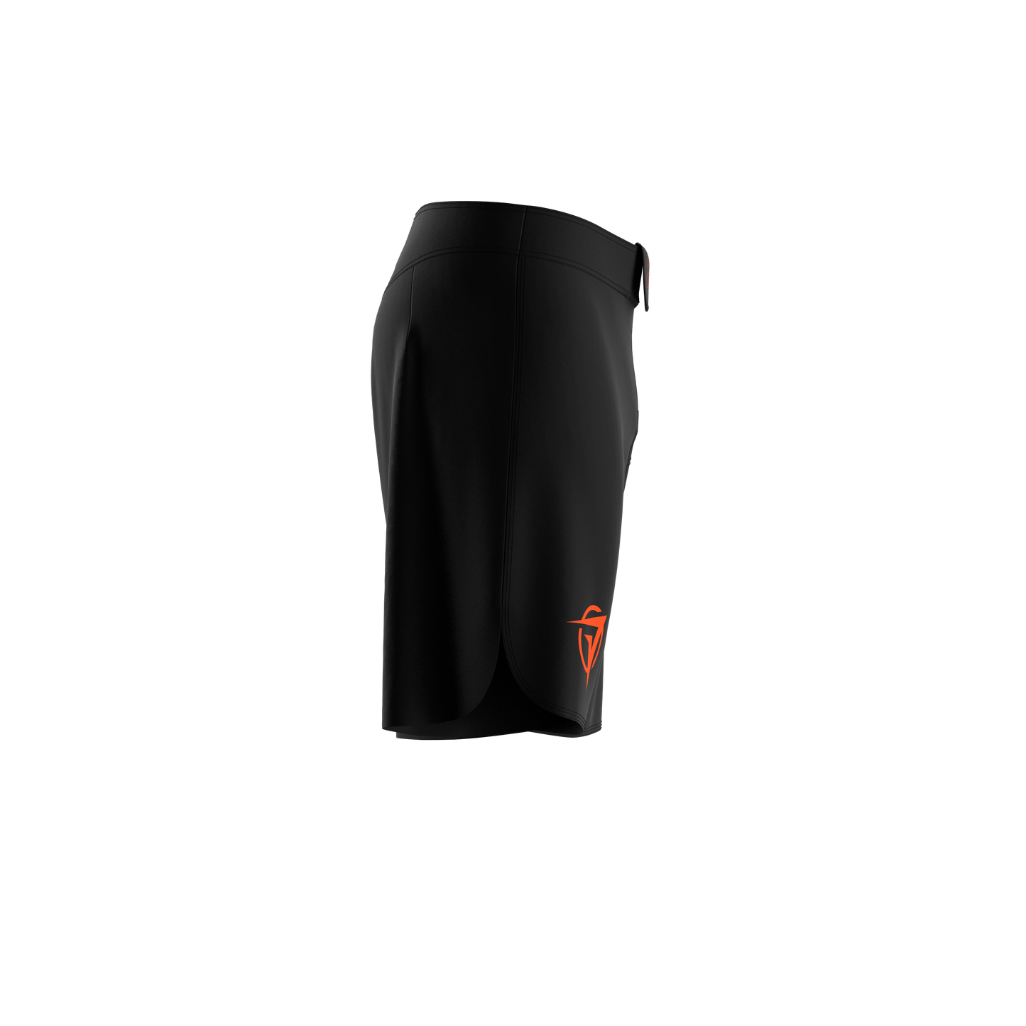 DFC The Dutch Lion Fightshorts